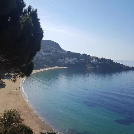 Sea-view In Near Apartment